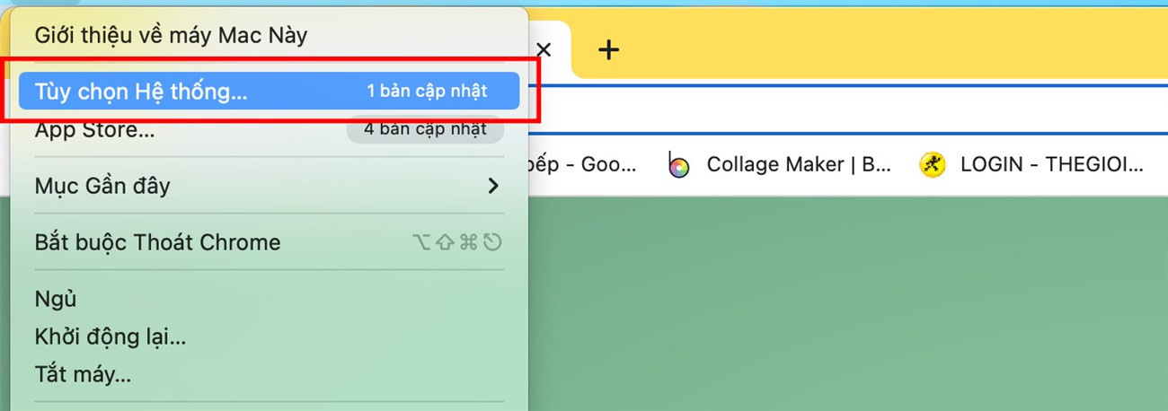 Mở menu Apple và nhấn vào Tùy chọn hệ thống trên MacBook