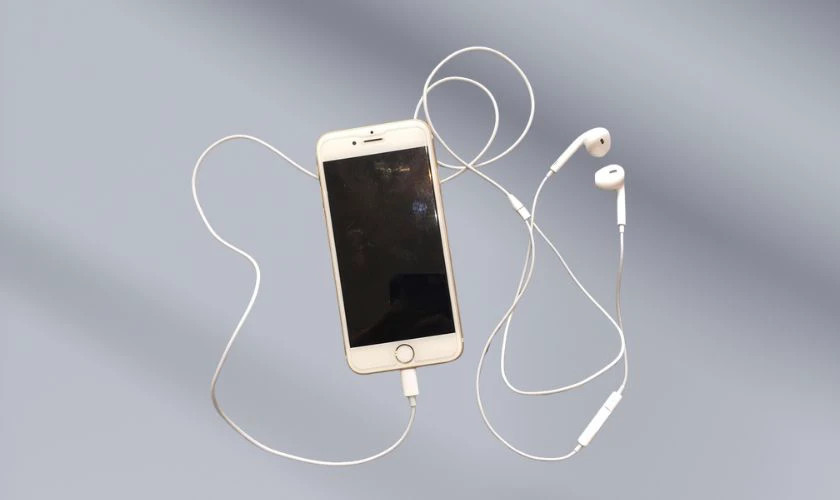 Kiểm tra kỹ lưỡng tai nghe Lightning, bao gồm dây cáp và jack cắm, khi iPhone không nhận kết nối