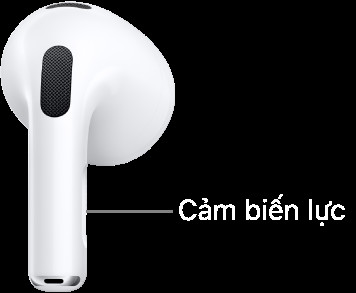 Vị trí của cảm biến lực trên AirPods 3, nằm dọc theo thân của mỗi tai nghe AirPods.