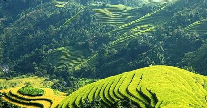 Phân Tích Sâu Sắc 12 Câu Thơ Tiếp Bài Việt Bắc: Ân Tình Của Miền Xuôi và Miền Ngược