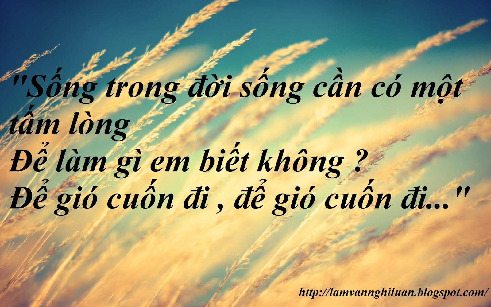 Một người phụ nữ ngồi thiền với cây xanh và sách, biểu tượng của sự tĩnh tâm và lan tỏa năng lượng tích cực