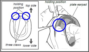 Cẩn thận khi thao tác xung quanh tấm đệm tai để tháo rời