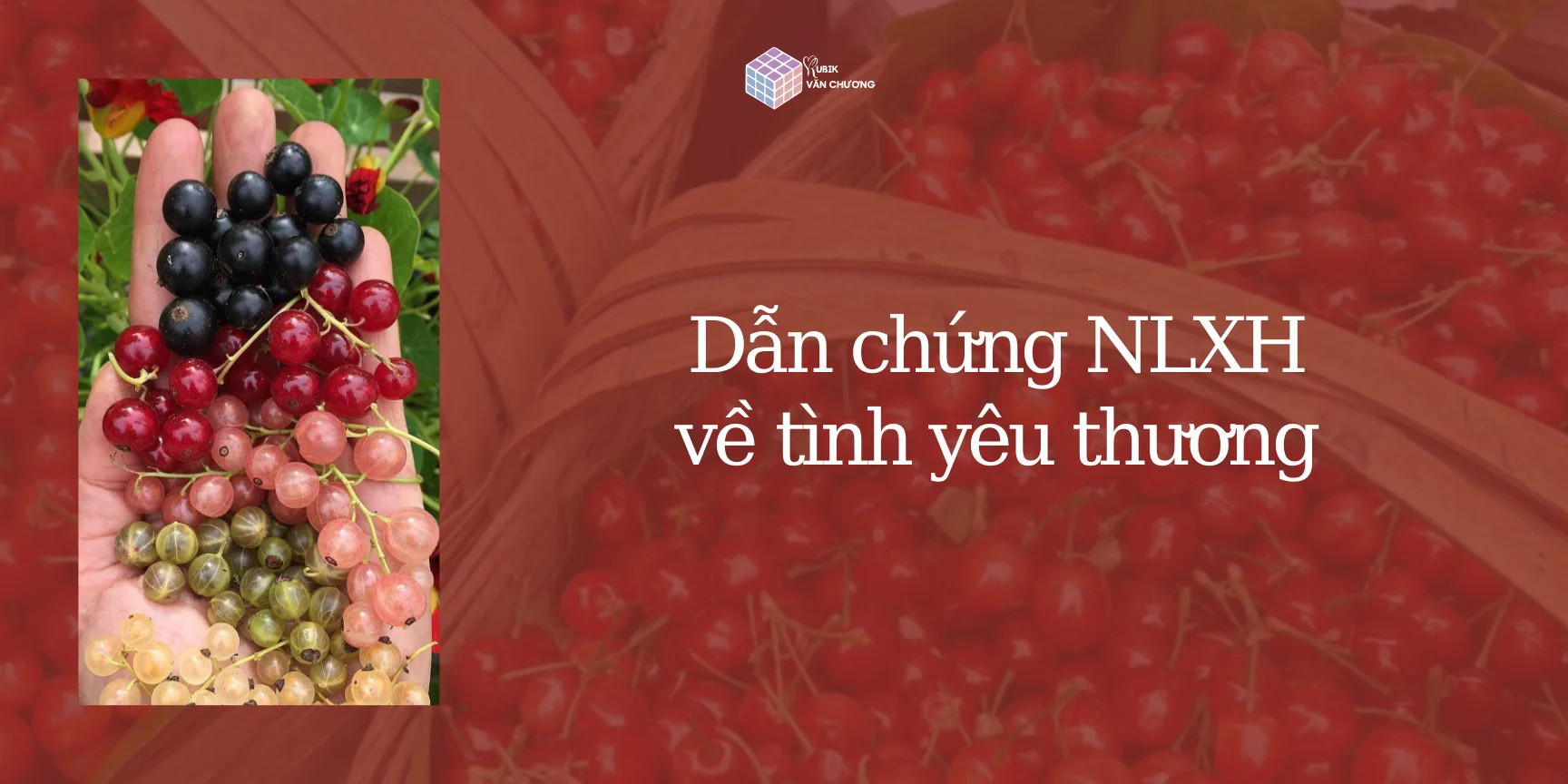 Bàn tay che chở, minh họa cho sự giúp đỡ và tình yêu thương