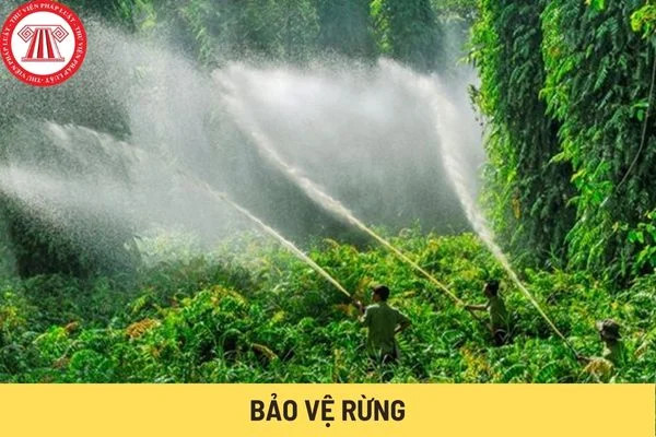 Biển báo cấm xâm hại rừng và các hoạt động bảo vệ môi trường
