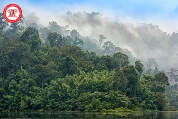 Người dân tham gia khoán bảo vệ rừng, tuần tra và phát dọn thực bì để phòng chống cháy