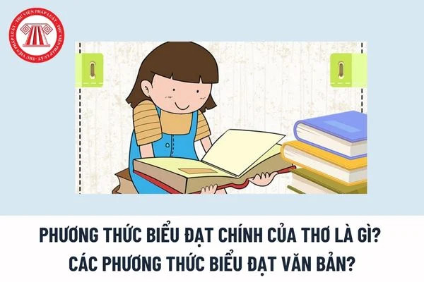 Sáu phương thức biểu đạt chính trong văn bản, bao gồm tự sự, miêu tả, biểu cảm, thuyết minh, nghị luận và hành chính – công vụ