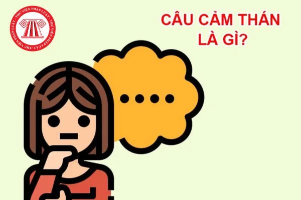 Biểu cảm đa dạng của con người trong giao tiếp hàng ngày
