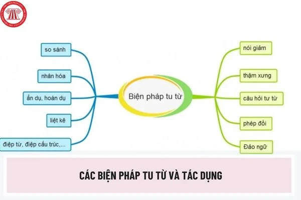 Ý nghĩa và tác dụng của các biện pháp tu từ trong văn học Việt Nam