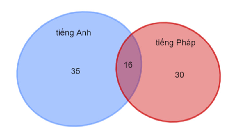 Sơ đồ Ven minh họa số lượng người phiên dịch tiếng Anh và tiếng Pháp