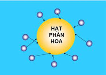 Minh họa thế năng và động năng của phân tử