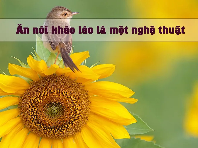Cảnh một chú chim đang hót líu lo trên cành cây