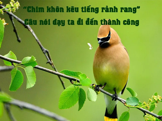 Một người trẻ đang thuyết trình trước đám đông với sự tự tin