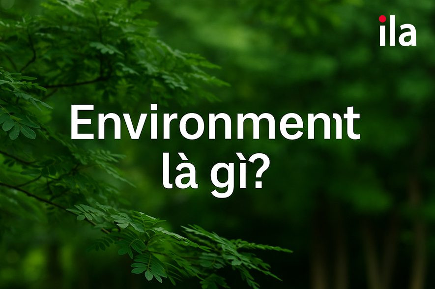 Environment là gì? Giải mã mọi khía cạnh về môi trường trong tiếng Anh