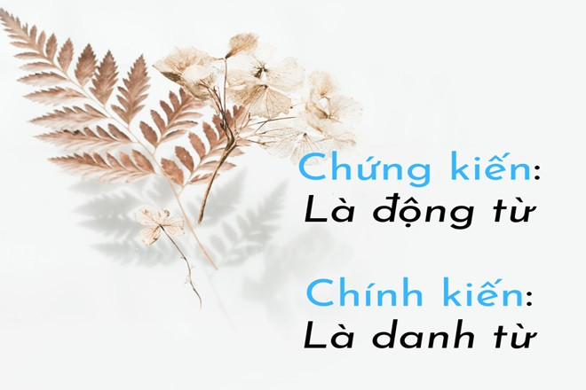 Minh họa sự khác biệt giữa hai khái niệm